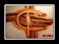 Amors Bogen 90x70cm Acrylmischtechnik auf Leinwand